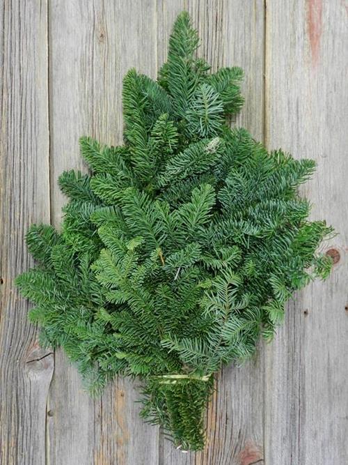 DOUGLAS FIR BOUGHS